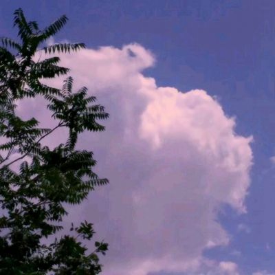 小冰冰传奇内购破解版下载
